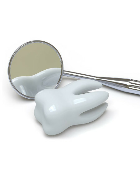 Spannende und kuriose Fakten rund um die Zähne – Teil 1