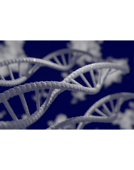 Z&auml;hne und Genetik &ndash; welchen Einfluss hat die DNA auf die Gesundheit unserer Z&auml;hne?